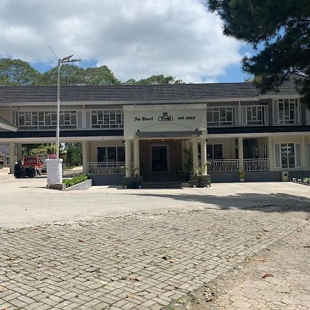 Tambi Tea Resort Kejajar المظهر الخارجي الصورة