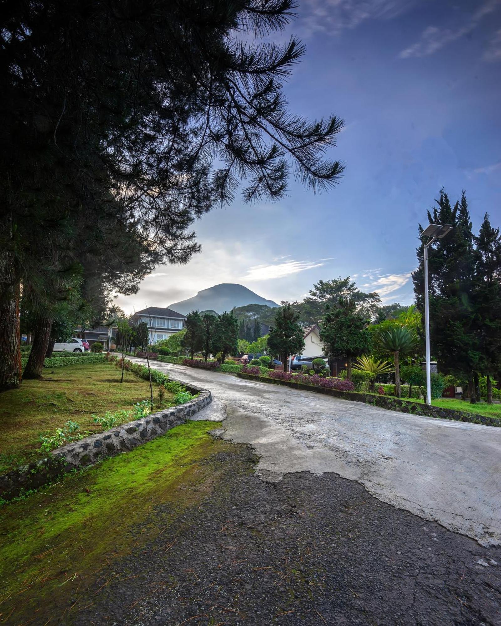 Tambi Tea Resort Kejajar المظهر الخارجي الصورة